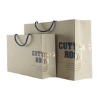 Printed Clothing Paper Shopping Bags With Gold Foil Hot Stamping Embossed Logo