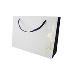 Custom Branded Paper Advertising Bags Packaging With Design Printing Supplier