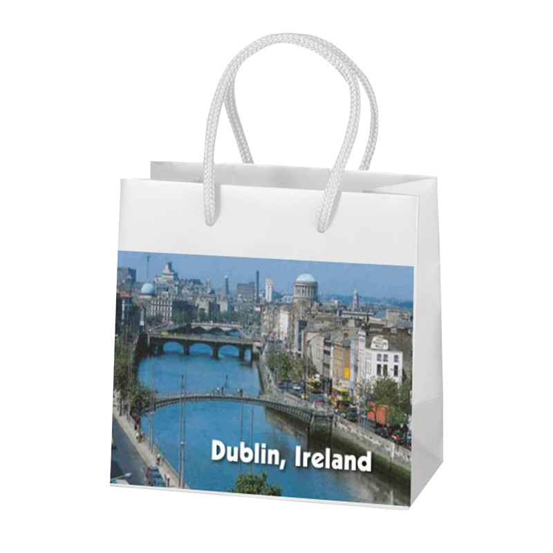 Custom Branded Paper Advertising Bags Packaging With Design Printing Supplier