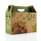 Tall Small Cardboard Boxes Food Industry Lightweight Reusable With Handle Rope