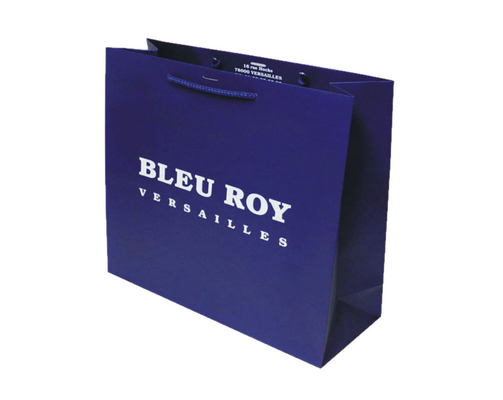 Good price Eco Friendly Custom Printed Medium Blue Paper Party Favor Bags With Handles online
